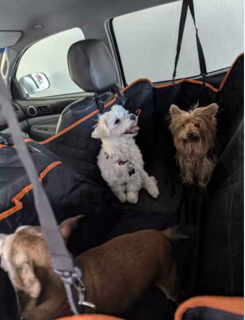 Housse Voiture Premium - Le Cocon de Luxe pour vos Chiens PetWorld