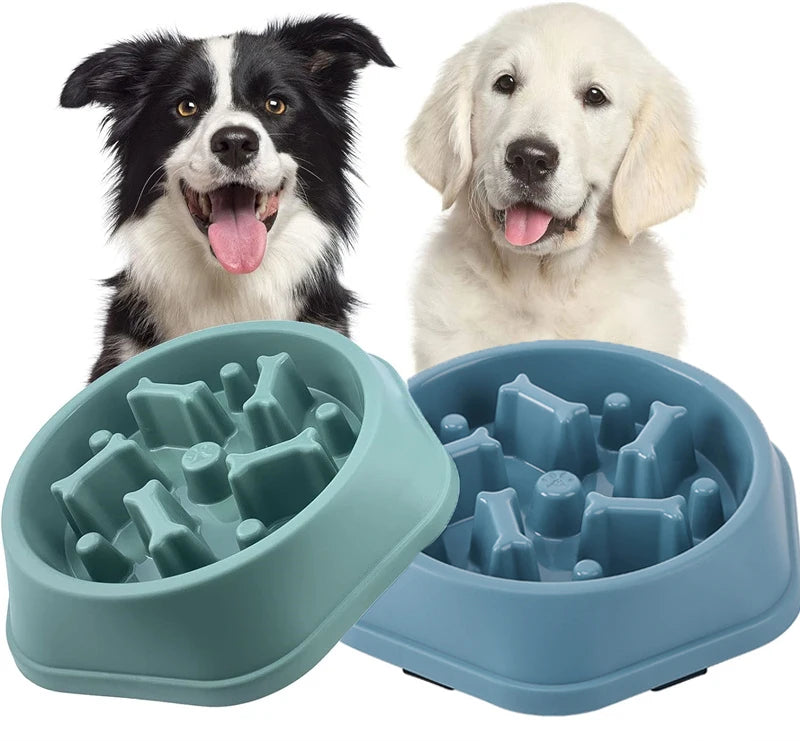 Gamelle Anti-Glouton Premium - Santé et Sérénité pour vos Compagnons PetWorld