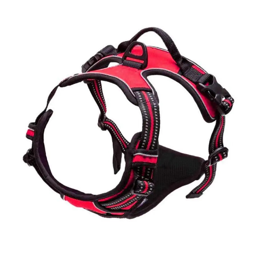 Harnais Anti-Traction - Promenades Sereines Garanties PetWorld