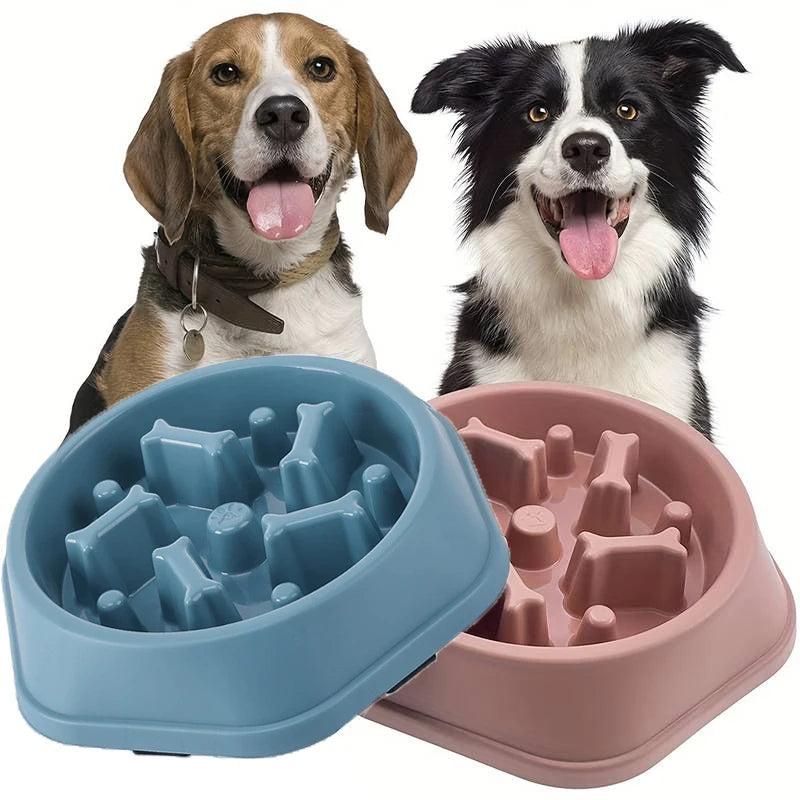 Gamelle Anti-Glouton Premium - Santé et Sérénité pour vos Compagnons PetWorld