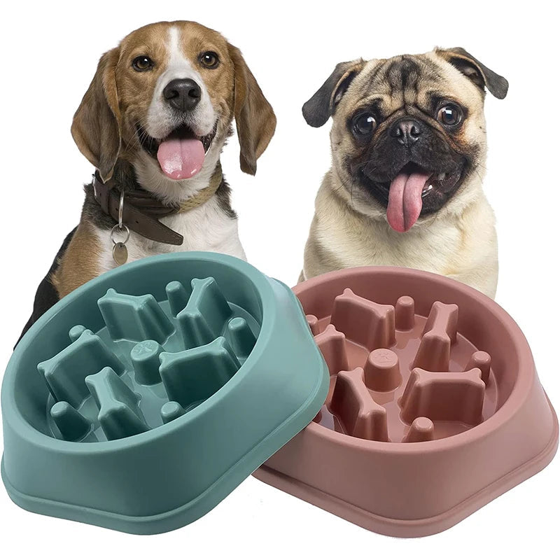 Gamelle Anti-Glouton Premium - Santé et Sérénité pour vos Compagnons PetWorld