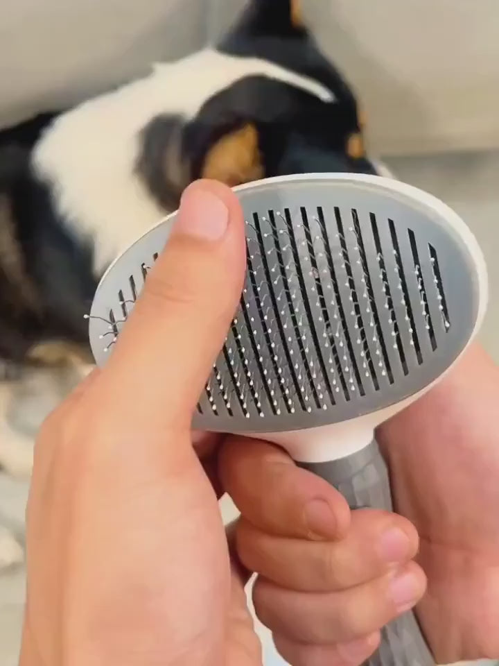 Brosse à Éjection Facile - Nettoyage en Un Clic